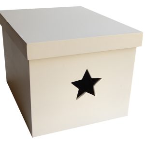 Star Cut Out Large Box Stained