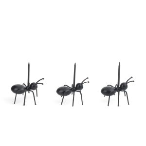 Party Picks Ants